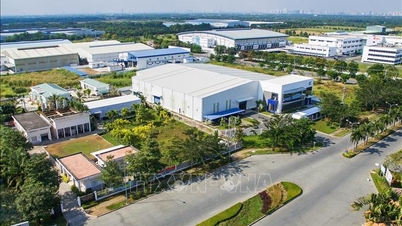 Hartanah perindustrian Vietnam: Berkembang dalam skala dan meningkatkan kualiti serta pengkhususan.
