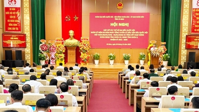 Chairman of the Committee on Citizen Petitions and Supervision Duong Thanh Binh attended the meeting with generations of National Assembly deputies from Ca Mau province throughout different periods.