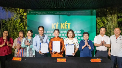 Kết nối không gian xanh, mở nhịp cầu liên kết bền vững cho du lịch Vĩnh Long