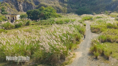 Ninh Binh v sezóně bílého rákosí