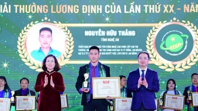 Nghe An میں نوجوان کسان اور Luong Dinh Cua ایوارڈ جیتنے کا ان کا سفر۔