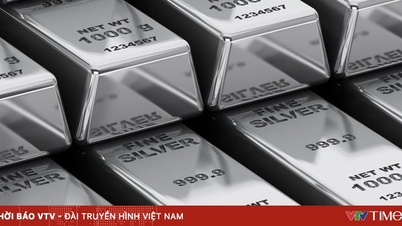 Elon Musk cảnh báo rủi ro với bạc khi Trung Quốc siết xuất khẩu kim loại chiến lược