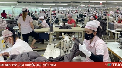 Lebih 2,700 pekerja Panko Vina yang kehilangan pekerjaan telah diambil bekerja oleh 7 syarikat.