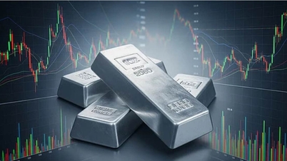 گھبراہٹ سے چلنے والے تجارتی سیشن کے بعد چاندی کی قیمتوں میں تقریباً 7 ملین VND/kg کی کمی واقع ہوئی۔