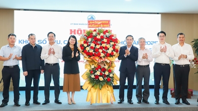 Innen 2025 forventes statsbudsjettinntektene i Da Nang by å overstige 63 billioner dong.