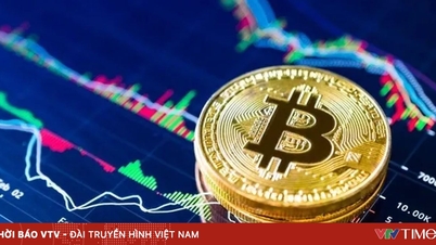 Tiền mã hóa mất 1.000 tỷ USD vốn hóa