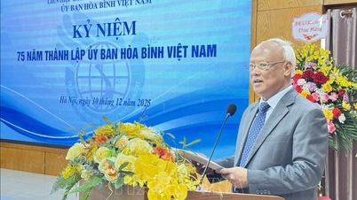 Jawatankuasa Keamanan Vietnam telah memberikan sumbangan penting kepada sejarah diplomasi rakyat-ke-rakyat.