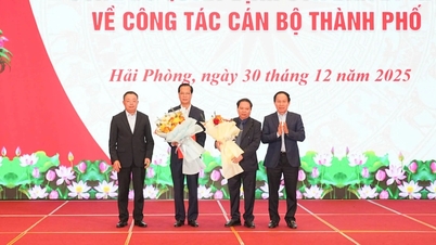 Herr Nguyen Anh Tuan wurde zum Vorsitzenden des Inspektionsausschusses des Parteikomitees der Stadt Hai Phong ernannt.