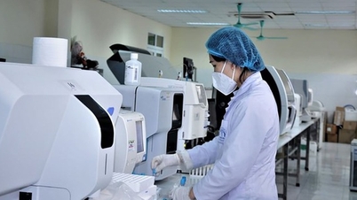 Transformarea organizațiilor publice de cercetare și dezvoltare în centre de excelență în cercetare la nivel regional și global.