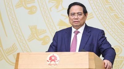 Thủ tướng: Trong tuần tới, xử lý dứt điểm các nhiệm vụ được giao trong chống khai thác IUU