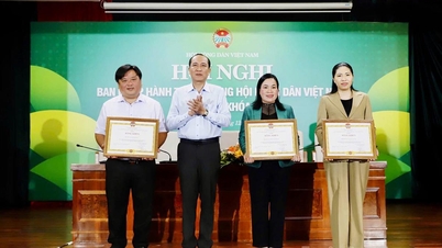 Hội Nông dân tỉnh Tuyên Quang được Ban Chấp hành Trung ương Hội Nông dân Việt Nam tặng Bằng khen