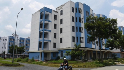 TP.HCM siết quy trình mua, thuê nhà ở xã hội: công khai giá, chặn ủy quyền, chống 'cò' hồ sơ