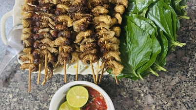지렁이 - 트라 리엔 산간 지역에서 맛볼 수 있는 비 오는 날 별미.