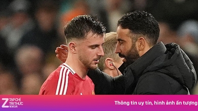 MU بمقابلہ بھیڑیوں کی براہ راست نشریات