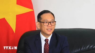ទំនាក់ទំនងវៀតណាម-អាល់ហ្សេរីនៅតែមានឱកាសជាច្រើនសម្រាប់ការអភិវឌ្ឍ។
