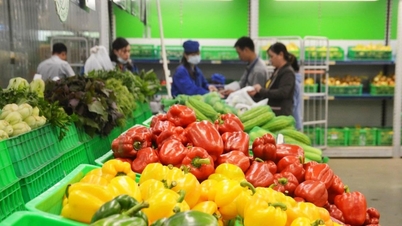 果物と野菜の輸出は過去最高を記録し、100億ドルを目指している。