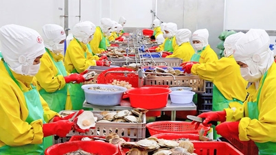 COOPERARE ÎNTRE VINH LONG ȘI DONG NAI: Extinderea domeniului de cooperare și crearea unui nou impuls pentru dezvoltare.