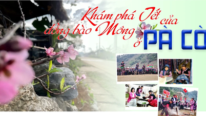 파코에서 몽족의 설날(음력 새해) 축제를 만나보세요.