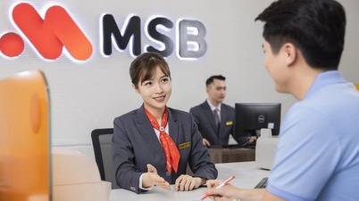 Ventajas de la estrategia de "remesas rentables" de los MSB