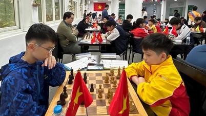 Am Internationalen Schachturnier Hanoi 2025 werden Schachspieler aus neun Ländern teilnehmen.