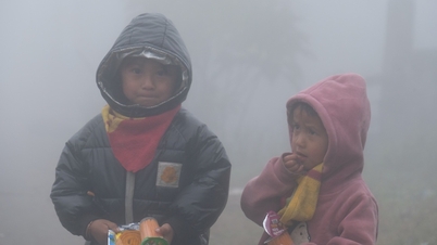 Prognoza meteo pentru astăzi (31 decembrie): Vietnamul de Nord este pe cale să înregistreze o nouă perioadă de frig, în timp ce Vietnamul de Sud va fi însorit.