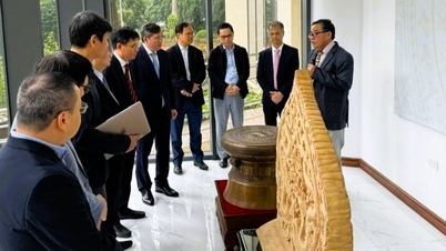 Het in kaart brengen van de kennis in Vietnam aan de hand van sociaalwetenschappelijk onderzoek.