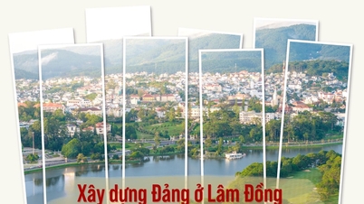 Parteiaufbau in Lam Dong – Ein neuer Meilenstein, hohe Entschlossenheit.