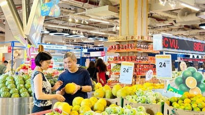 ベトナムの小売市場は2,690億ドルに達し、過去5年間で最高水準となった。