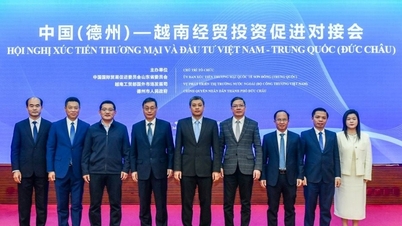 La provincia de Nghe An está intensificando los esfuerzos de promoción comercial con el mercado chino.