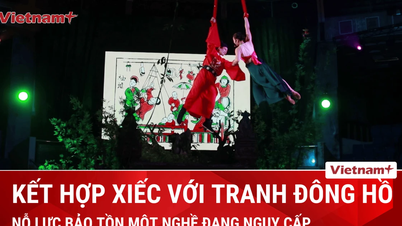 Działania mające na celu promowanie dziedzictwa malarstwa ludowego Dong Ho poprzez sztukę cyrkową.