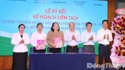 Renforcer la diffusion des politiques de promotion industrielle dans la province de Dong Thap.