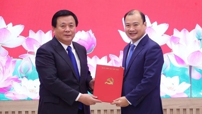 Timbalan Menteri Tetap Kebudayaan Le Hai Binh menggalas tugas baharu.