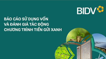 BIDV công bố báo cáo phân bổ vốn và đánh giá tác động môi trường chương trình tiền gửi xanh