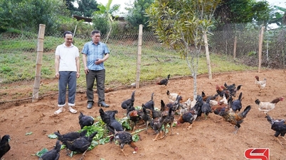 A path out of poverty for the people of Long He highland region.