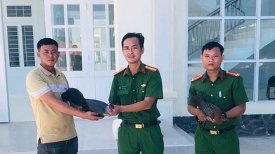 ชาวบ้านหมู่บ้านฮัวทังได้ส่งมอบนกไก่ฟ้าหายากสองตัวให้แก่ทางการ