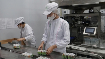 Da Nang Industrial Promotion: Creating momentum for businesses to invest in production in 2026