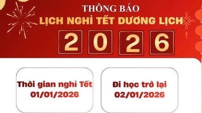 Er ontstaat verwarring over de tegenstrijdige vakantieschema's rond Nieuwjaar voor studenten.