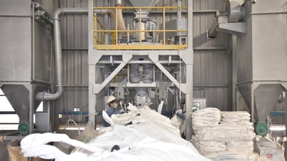 Η Dak Nong Aluminum προετοιμάζει τους πόρους για ένα πρωτοποριακό έτος παραγωγής.