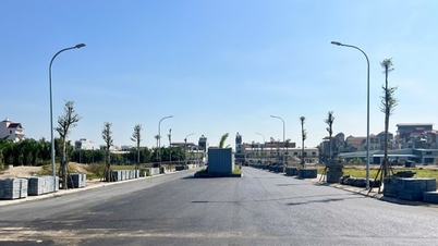 Eliminar cuellos de botella en materiales de construcción para acelerar el progreso de la inversión pública.