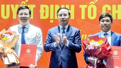 Da Nang łączy zarządy projektów i mianuje nowych dyrektorów.