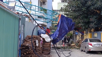 Μια ανατριχιαστική σκηνή εκτυλίχθηκε καθώς ένας γερανός οικοδομών, ύψους δεκάδων μέτρων, κατέρρευσε σε έναν δρόμο στην καρδιά της Ντα Νανγκ.