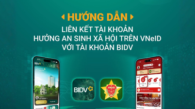 Liên kết tài khoản BIDV trên VNeID để nhận quà tặng của Chính phủ