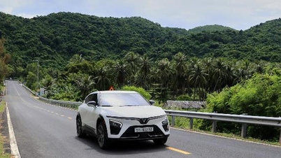 Letzte Chance, den vielseitigen VinFast VF 7 C-SUV zum besten Preis des Jahres zu erwerben.