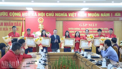 La province de Ha Tinh félicite les entraîneurs et les athlètes qui ont obtenu d'excellents résultats aux 33èmes Jeux d'Asie du Sud-Est.