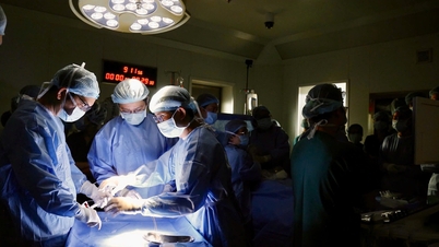El último día del año se detectó con éxito el duodécimo latido fetal en menos de 30 minutos.