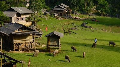 ดอกไม้บนเนินเขา (ภาษาอังกฤษ)
