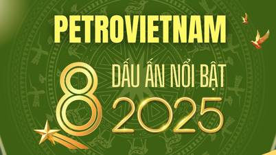 پیٹرو ویتنام: 2025 میں 8 شاندار کامیابیاں