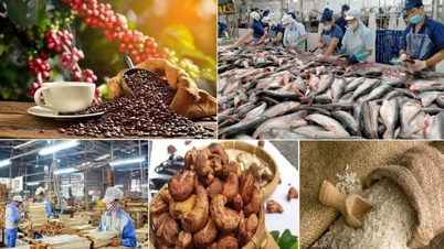2025 marks the resilience of the Agriculture and Environment sector in overcoming challenges.