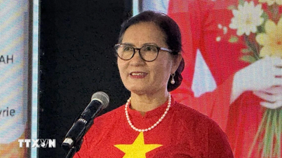 Vietnamesiska utlandsboende i Malaysia är stolta över sitt lands utvecklingsresa.