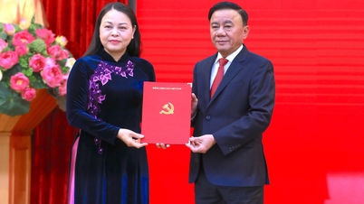 Kameraad Nguyen Thi Thu Ha bekleedt de functie van plaatsvervangend chef van het Permanent Bureau van het Centraal Partijcomité.